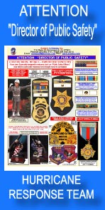 Director of Public Safety; Citation Bars, Medals, Embroideerd Patches